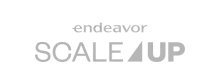 endeavor-scale-up